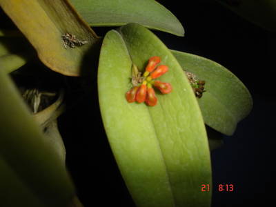 DSC03050.JPG