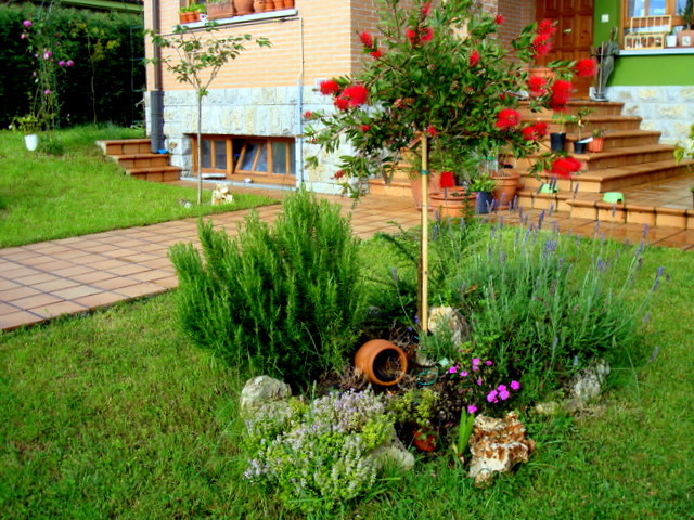 dsc03110.jpg