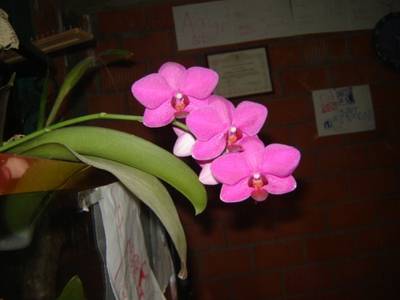 DSC03119.JPG