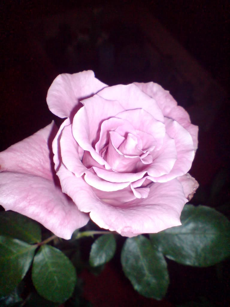 DSC03151.jpg