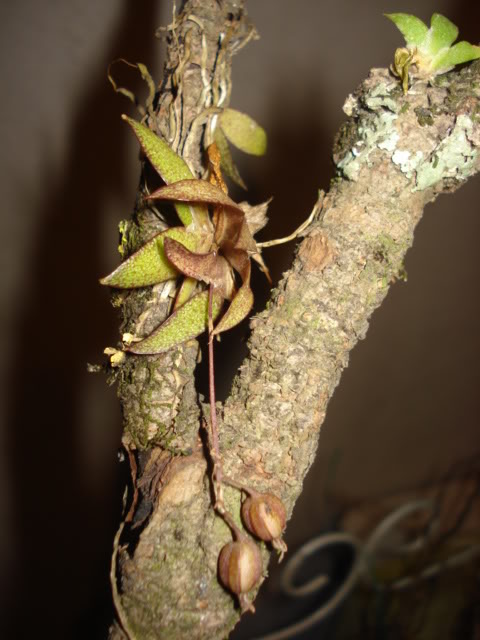 DSC03164.jpg