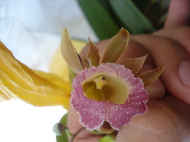 DSC03168.jpg