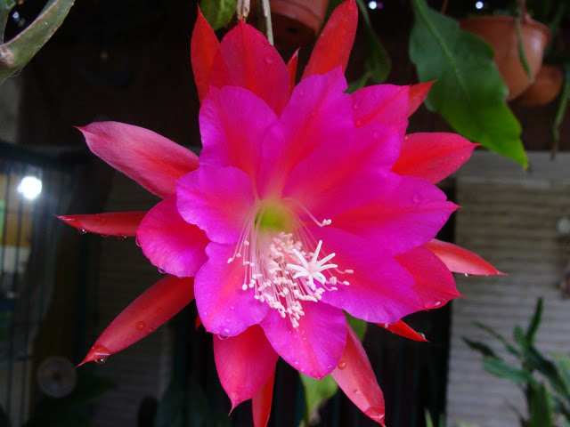 DSC03192.JPG