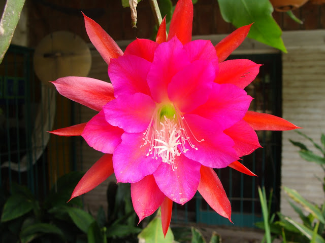 DSC03211.JPG