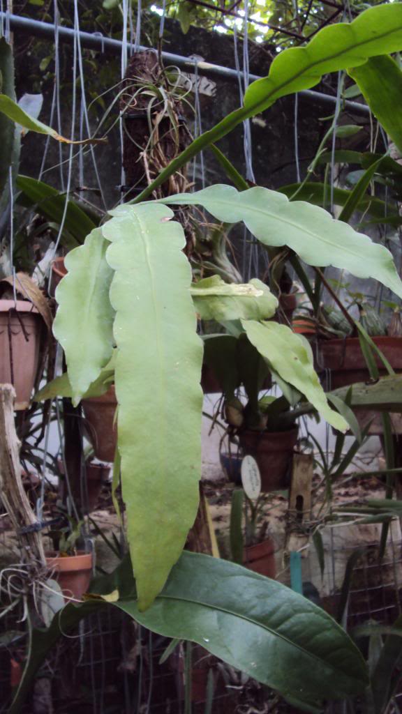 DSC03284.jpg