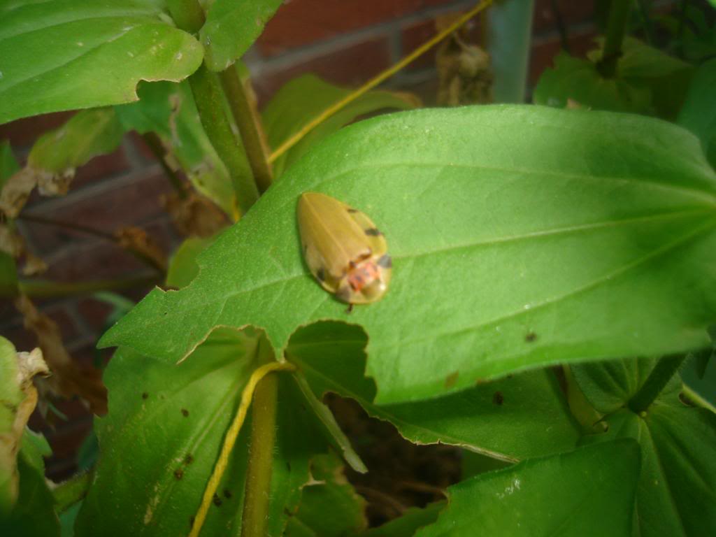 DSC03303.jpg