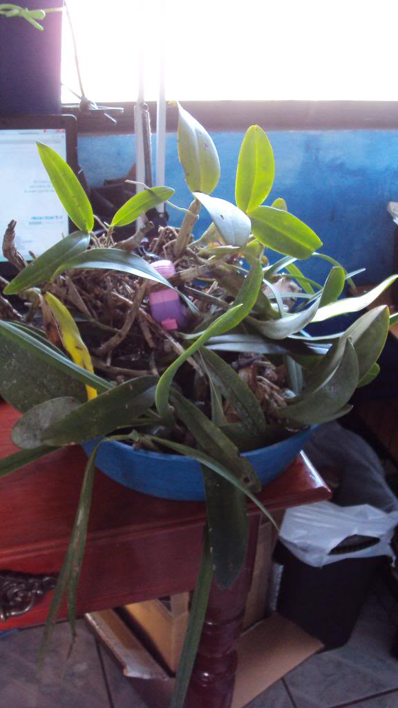DSC03307.jpg