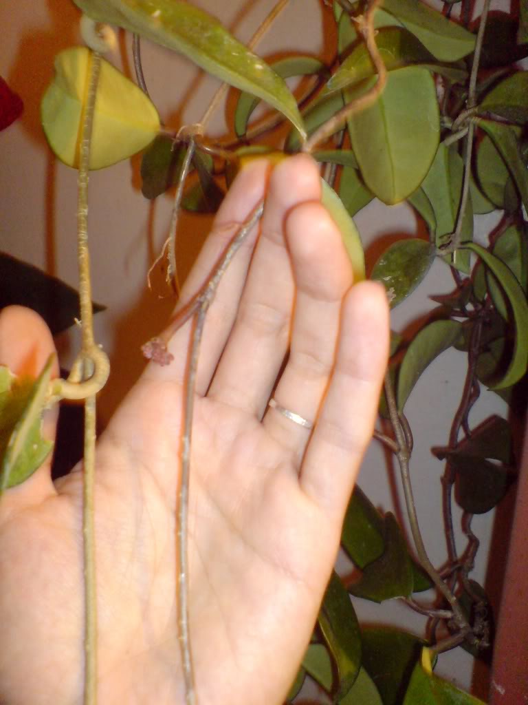 DSC03344.jpg