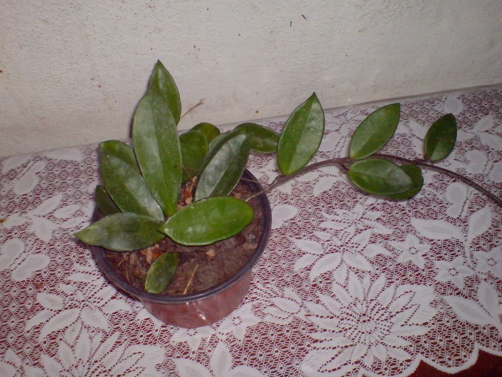 DSC03349.jpg