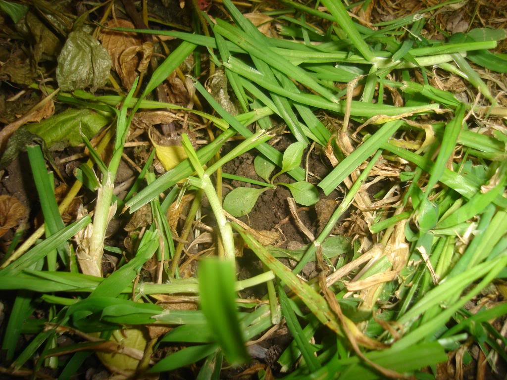 DSC03376.jpg