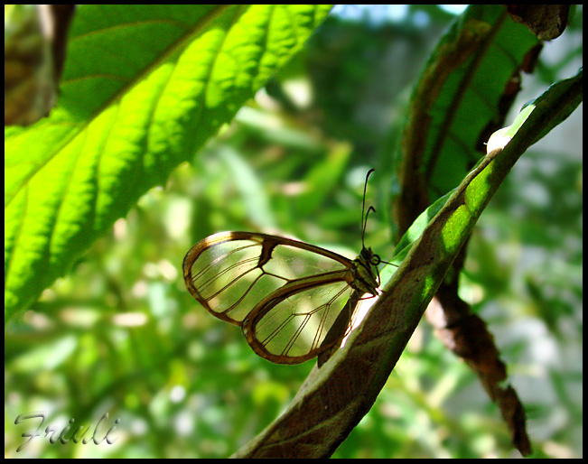 DSC03376_copiar.jpg