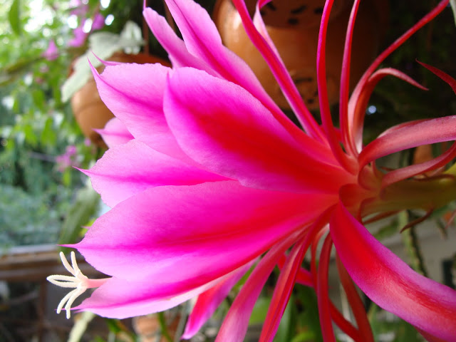 DSC03380.JPG