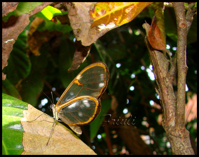 DSC03389_copiar.jpg