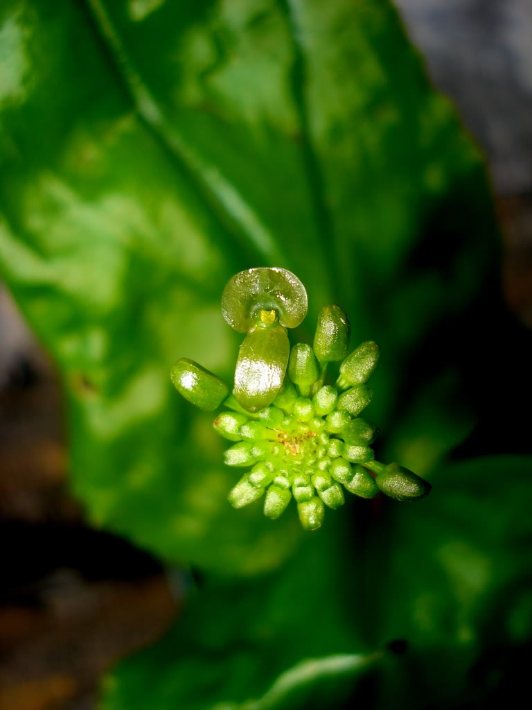 DSC03428.jpg