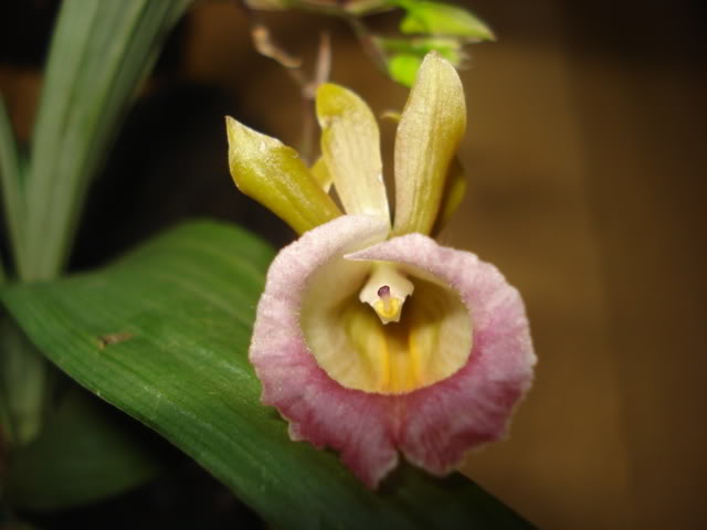 DSC03445.jpg