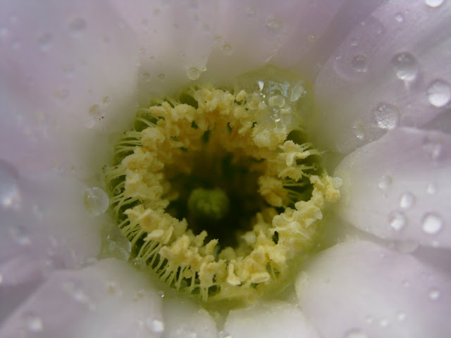 DSC03464.JPG
