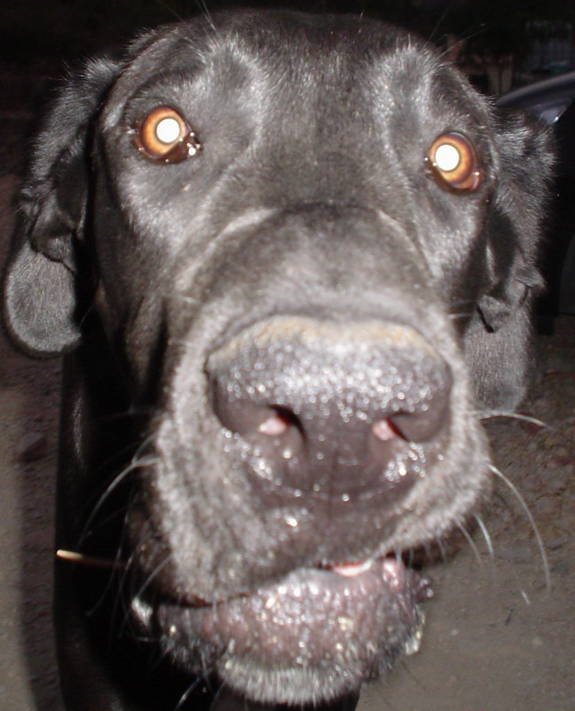 DSC03503.JPG