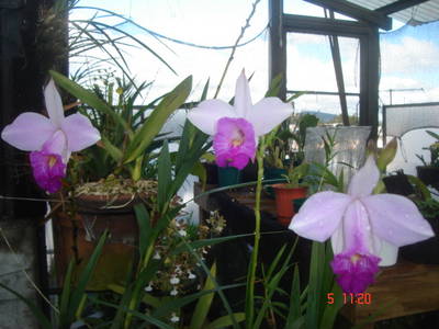 DSC035381.JPG