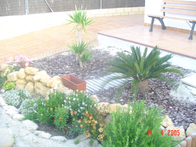 DSC03550.JPG