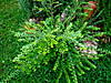 DSC03558.JPG