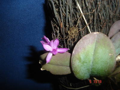 DSC03565.JPG