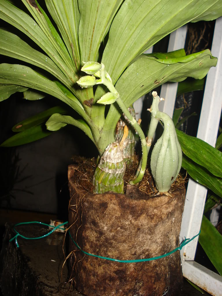 DSC03576.jpg