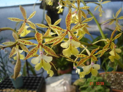 DSC03636.JPG