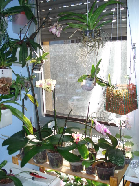 DSC03653.jpg