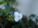 DSC03663.JPG