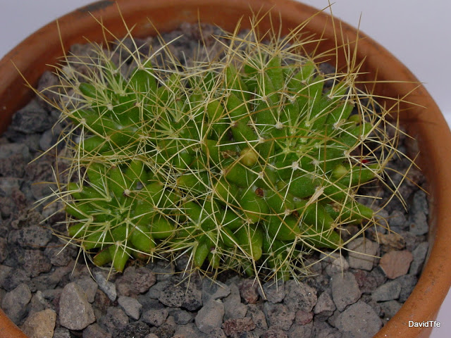 DSC03685.JPG