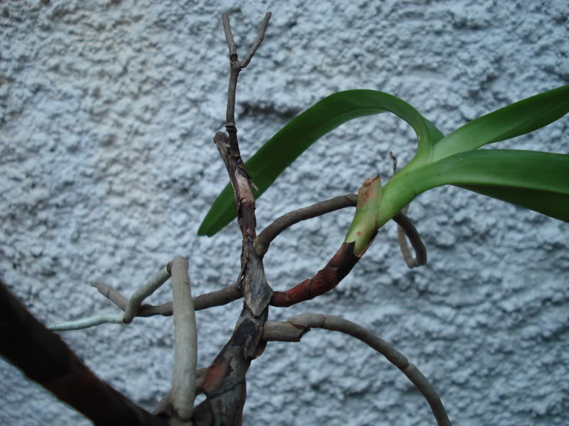 DSC03691.jpg