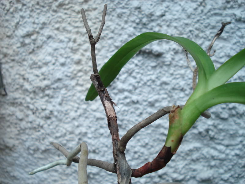 DSC03692.jpg