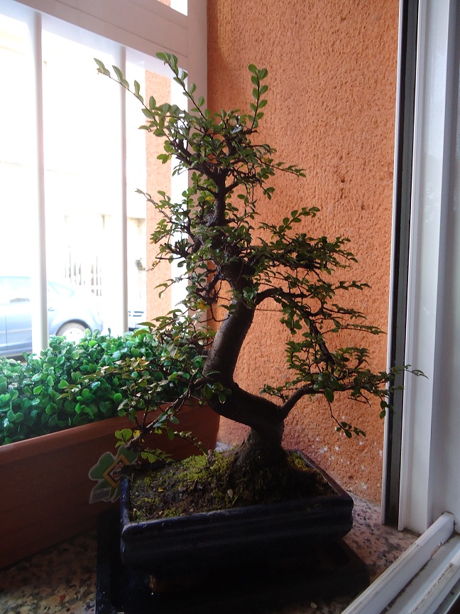 DSC037041.JPG