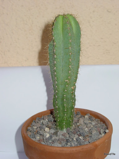 DSC03718.JPG