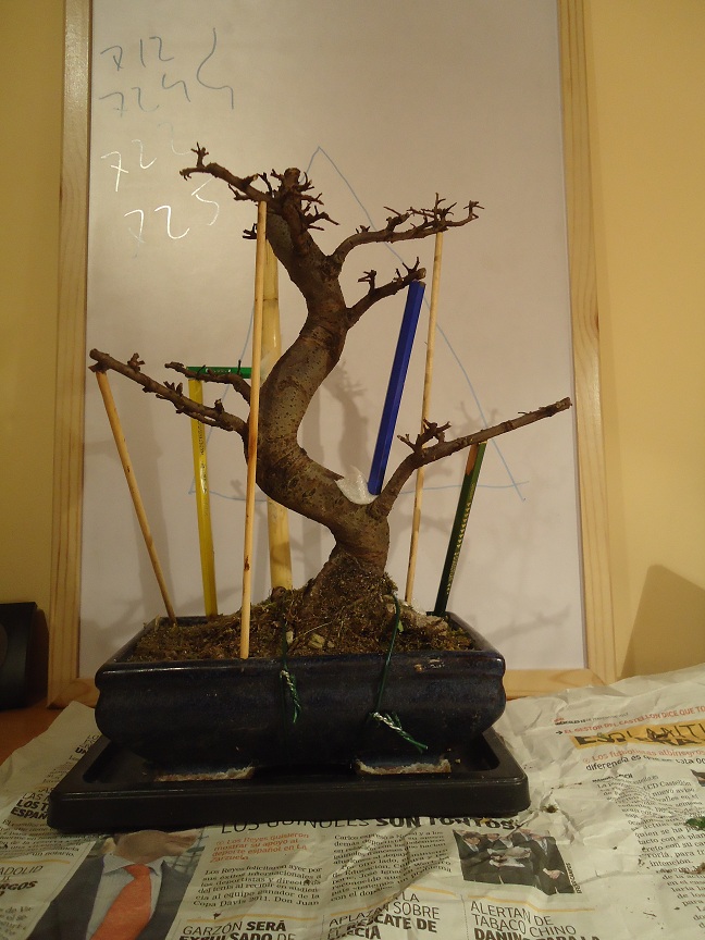 DSC03726.JPG