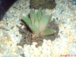 DSC03744.jpg