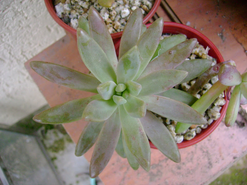 DSC03745.JPG