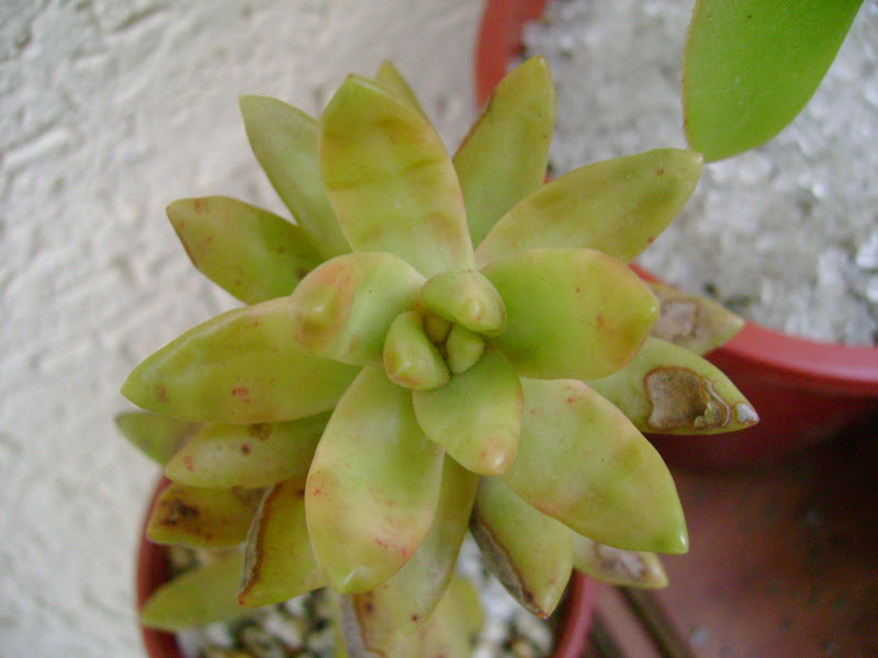 DSC03746.JPG