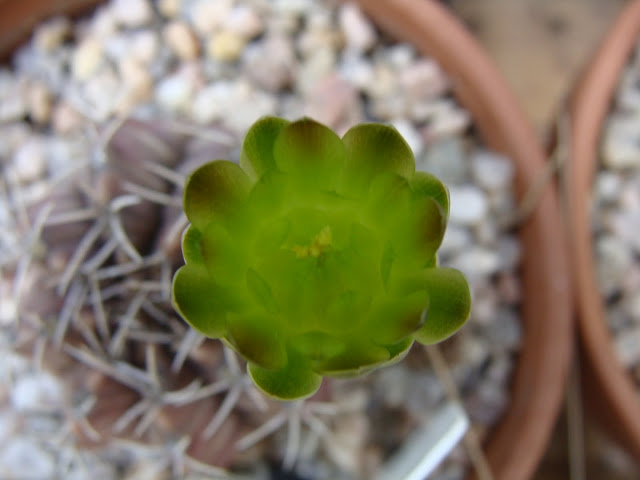 DSC03809.JPG