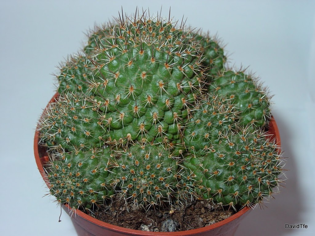 DSC03837.JPG
