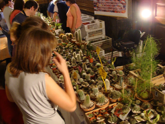 DSC03868.JPG