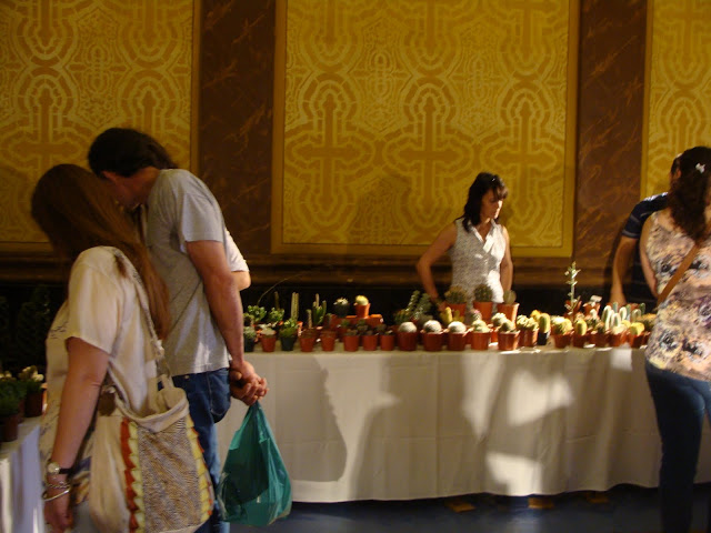 DSC03875.JPG