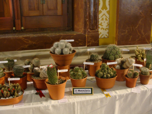 DSC03880.JPG