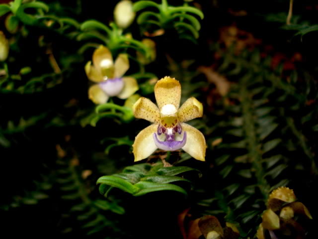 DSC03916.jpg