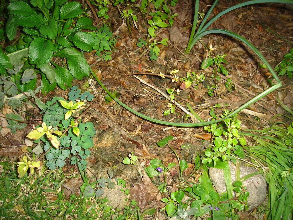 DSC03949-1.jpg