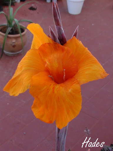 DSC03994.jpg