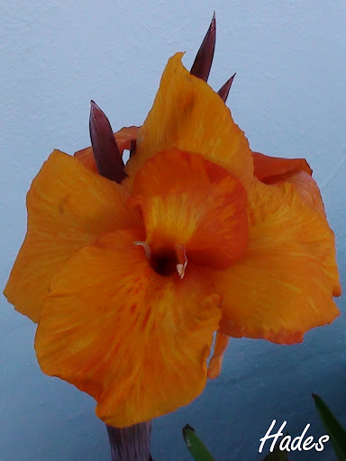 DSC03995.jpg