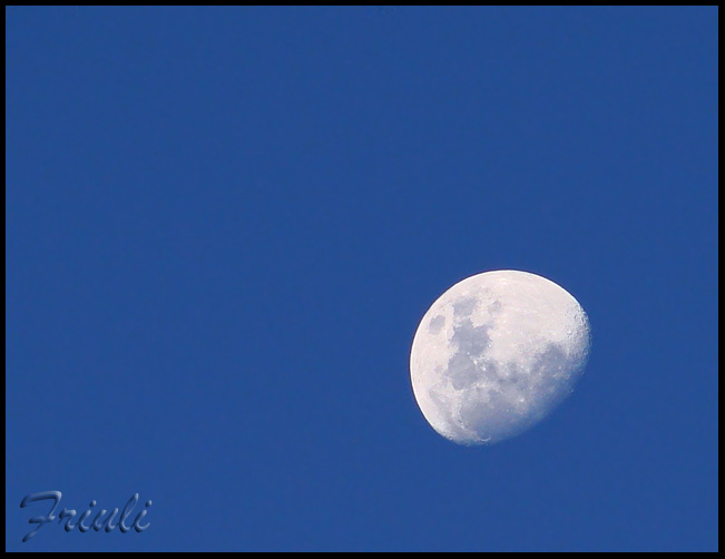 DSC04023_copiar.jpg