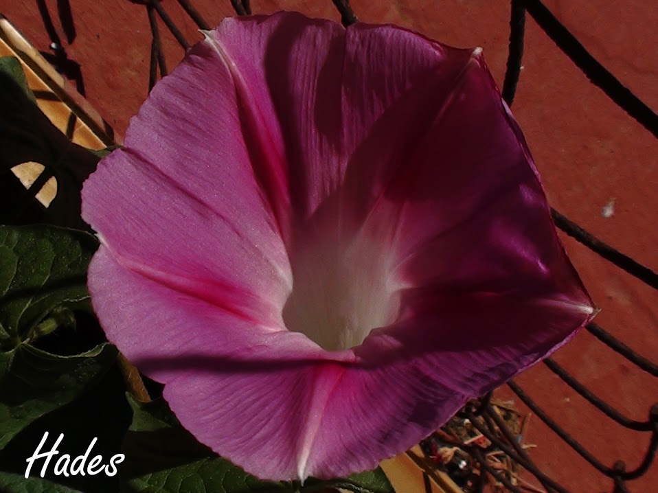 DSC04085.jpg