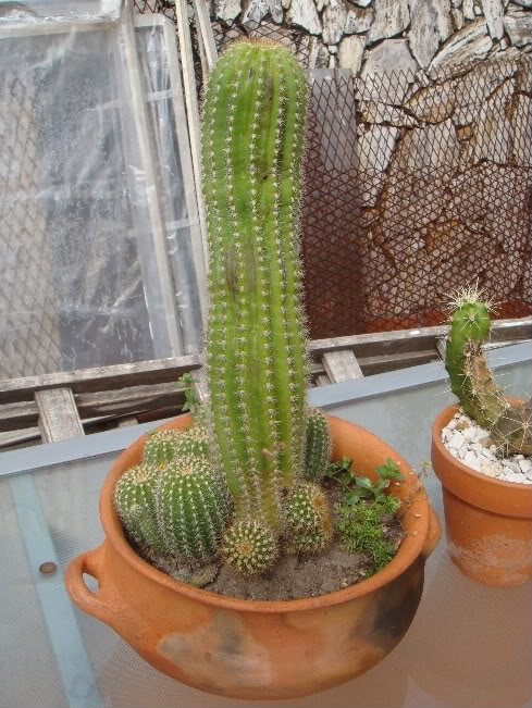 DSC04113.jpg